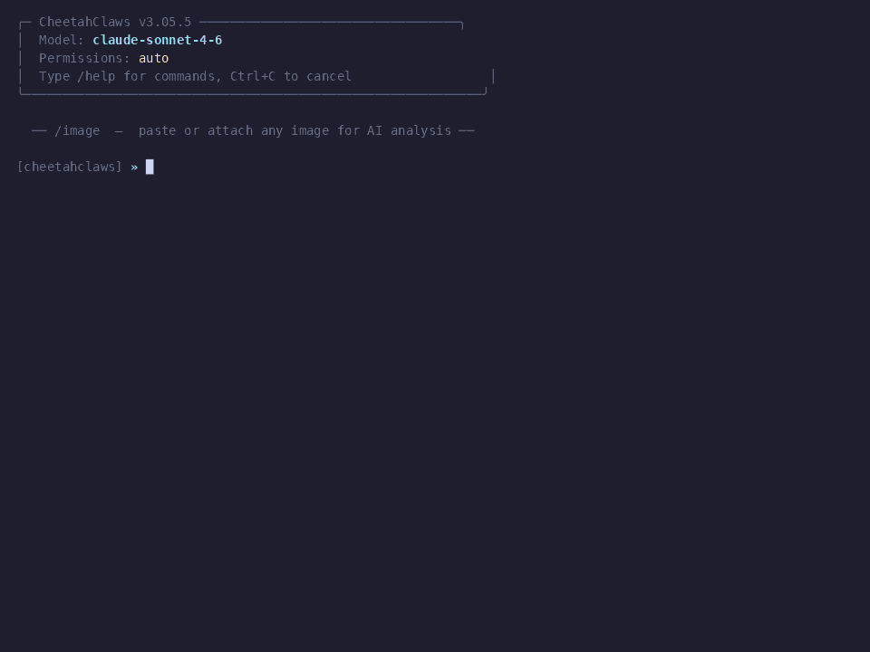 Vision input demo
